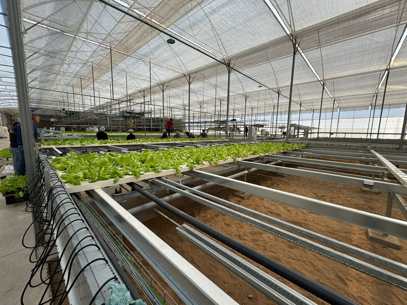 Greenhouse automation project