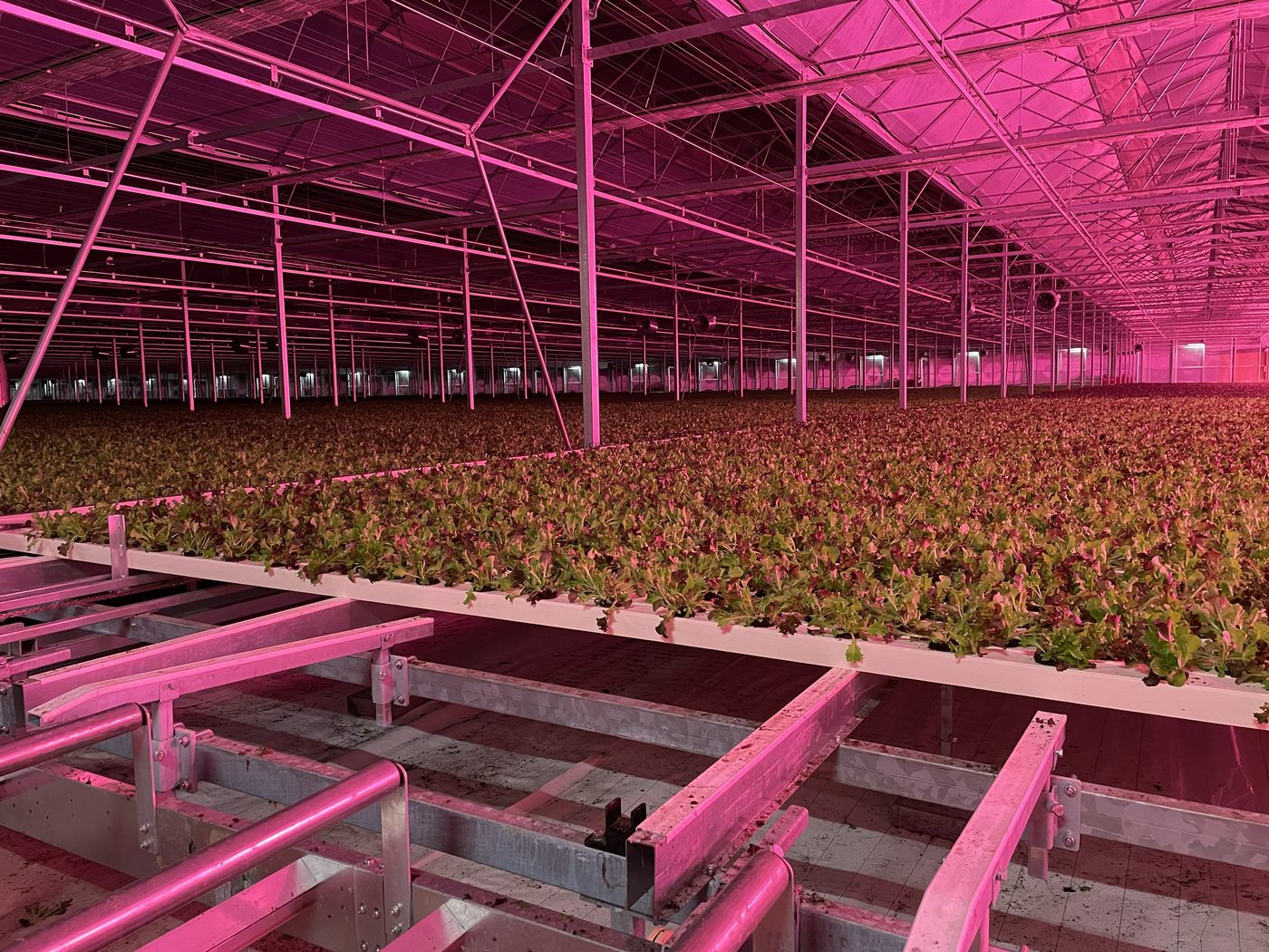 Greenhouse automation project