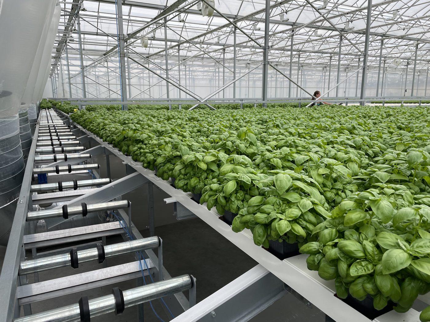 Greenhouse automation project