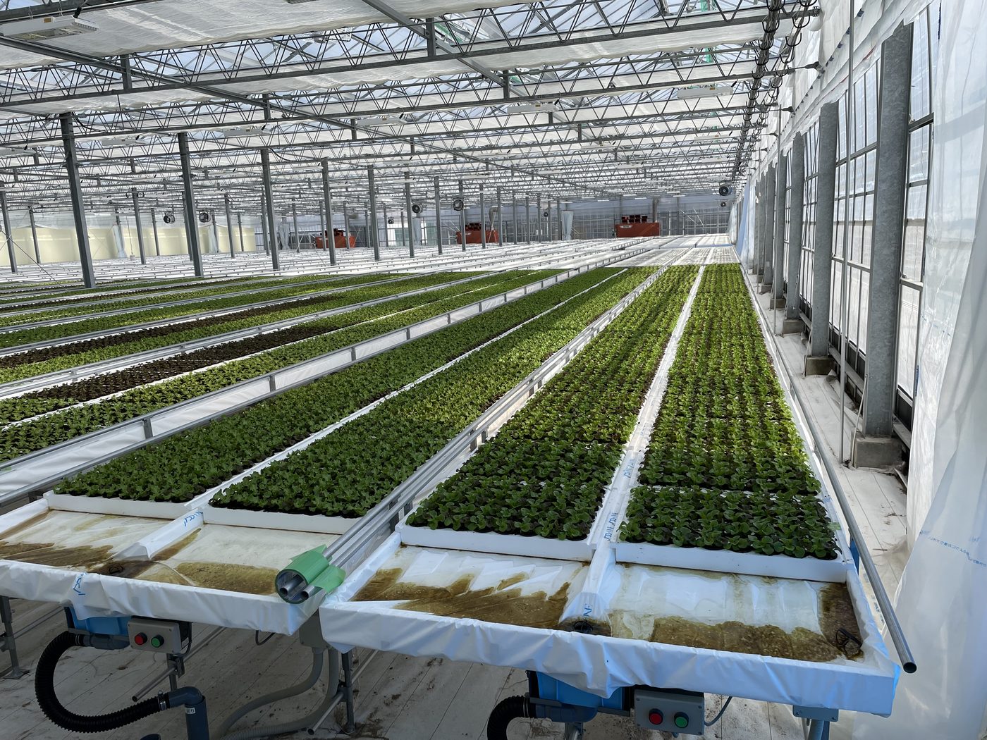 Greenhouse automation project