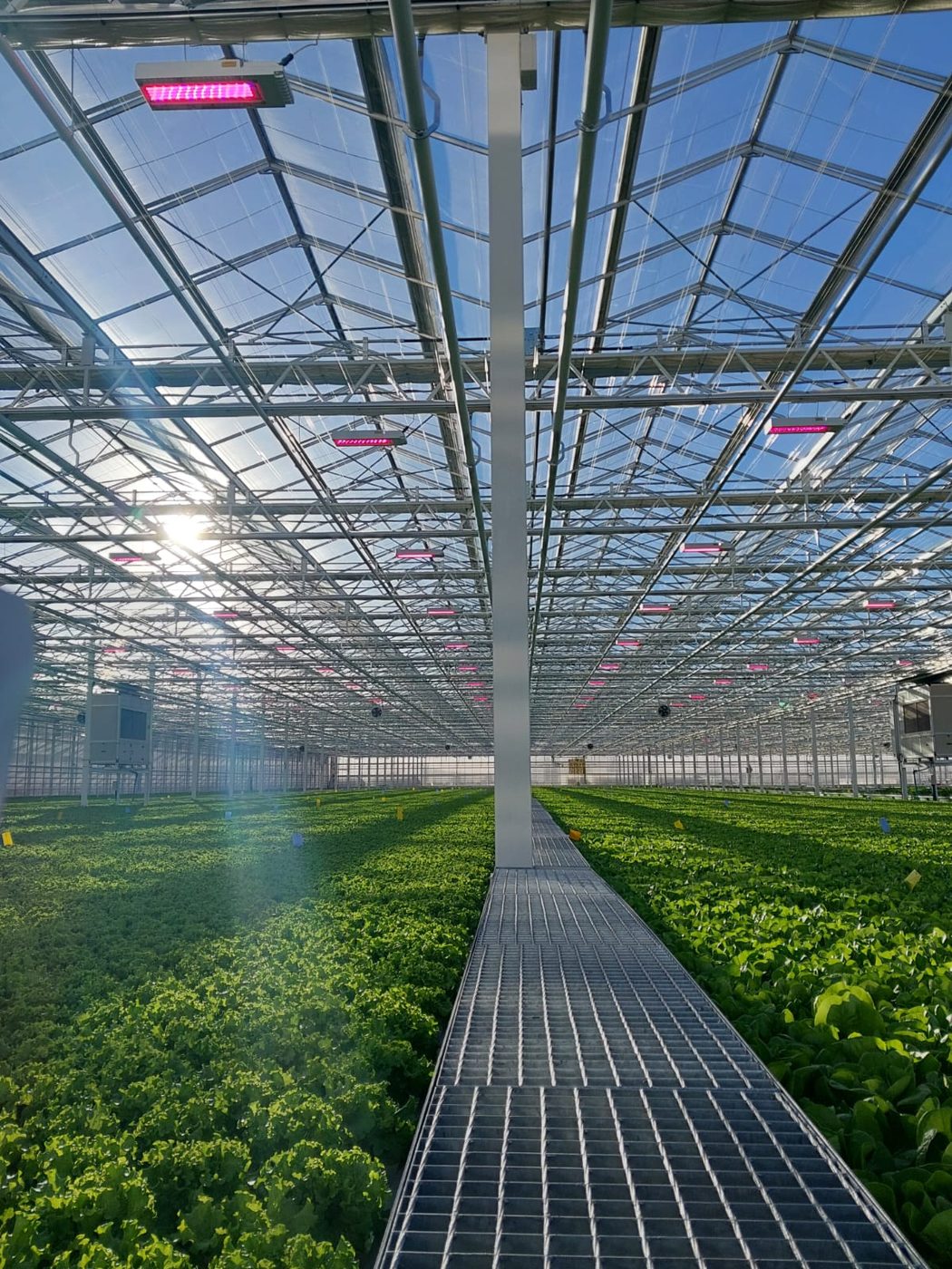 Greenhouse automation project